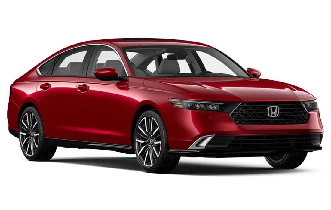 2025 Honda Accord Sedan Jellybean